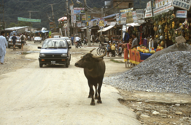 452_Pokhara, straatbeeld.jpg